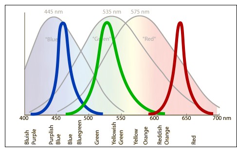 LUYOR-3260熒光蛋白激發光源光譜圖