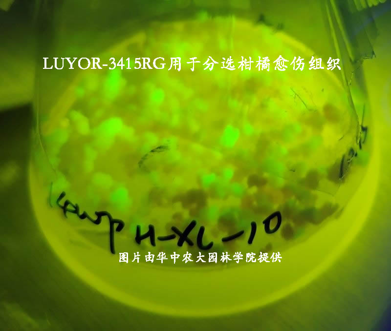 LUYOR-3415RG在华中农大园林学院的应用
