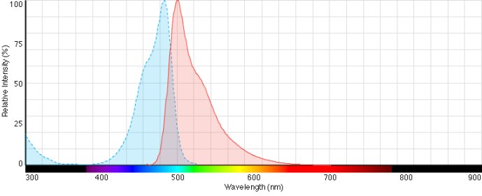 34854dna.jpg