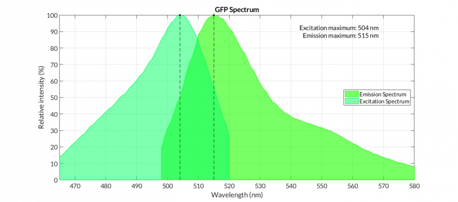 GFP激发光和发射光谱