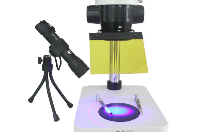 体视显微镜能看拟南芥GFP荧光吗？