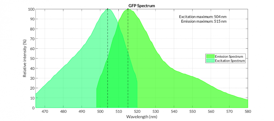 1350px-T--Valencia_UPV--GFP_spectrum.png