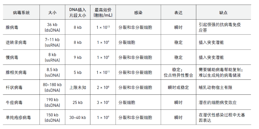 常用病毒载体功能对比