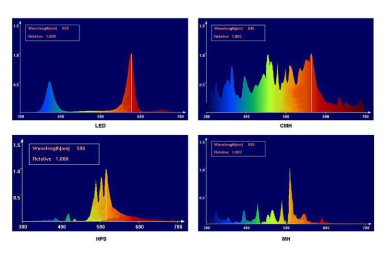 spectrum-diagrams-768x512-min.jpg