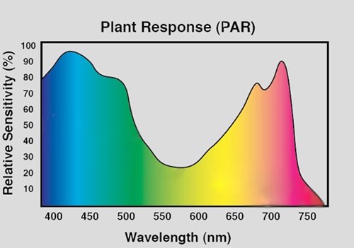 plant_response_par_pro-mix_en.jpg
