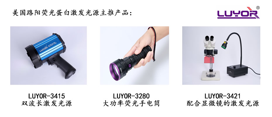 美国路阳荧光蛋白激发光源