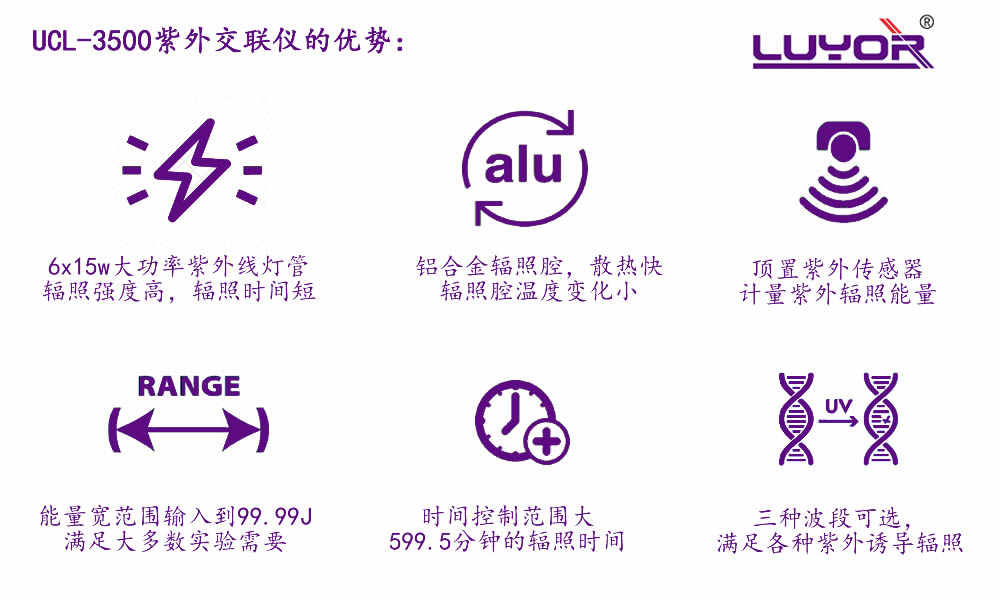 优势.jpg